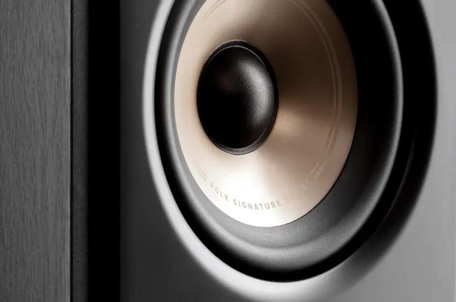 фото Акустичні колонки Polk Audio Signature Elite ES15 Black 3