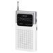 Портативный радиоприемник Sencor SRD 1100 White (35049373) 1482076 фото 1