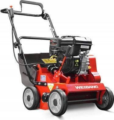 Скарификатор Weibang WB384RB 1428732 фото
