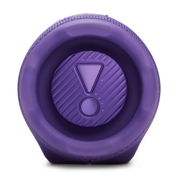 Портативна колонка JBL Charge 6 Purple (JBLCHARGE6PUR) 1440954 фото