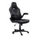 Компьютерное кресло для геймера Trust GXT 703 RIYE Black (25128) 1346437 фото 1