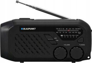 Радиоприемник Blaupunkt ER10 1428471 фото