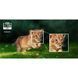 Портативний проектор AOpen Fire Legend QH31s Blue (MR.JYQ11.003) 1476175ua фото 13