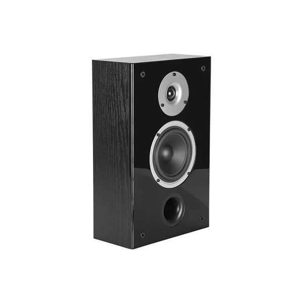 Акустическая система Wilson Raptor On Wall Black (2-Pack) 1346622 фото