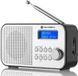 Радіоприймач GoGEN DAB 300 N Silver 1395470 фото 1