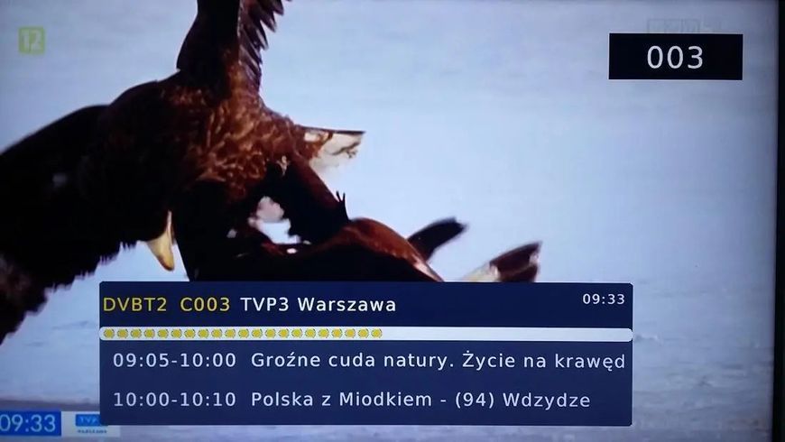 TV-тюнер Wiwa H.265 Pro 1360260 фото