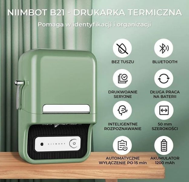 Принтер этикеток Niimbot B21S Green 1453002 фото