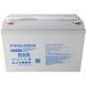 Акумулятор для ДБЖ/інвертора Prologix GEL 12V 100AH (PL12-100GEL) 1480426ua фото 1