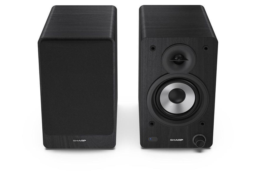 Фронтальные акустические колонки Sharp CP-SS30 Black (2-Pack) 1355161 фото