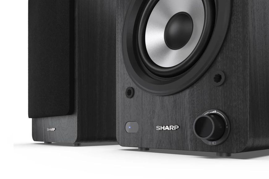 Фронтальные акустические колонки Sharp CP-SS30 Black (2-Pack) 1355161 фото