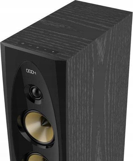 Мультимедійна акустика F&D T-60X Black 1450592 фото