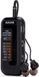 Радиоприемник Aiwa R-22Bk 1392207 фото 4