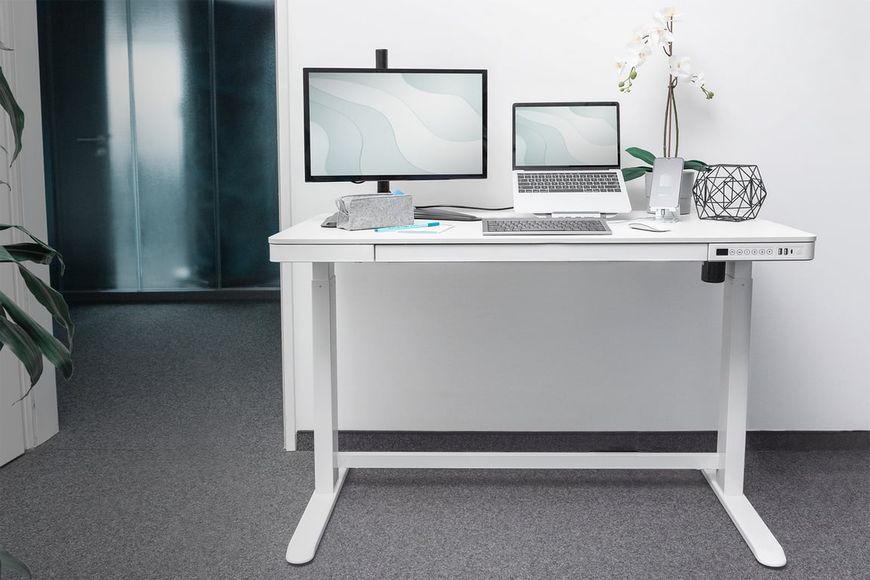 Письменный стол Digitus Electric Height Adjustable (DA-90406) 1408588ua фото